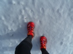 Salomon XT SLAB Soft Ground! Perfect for snow running!